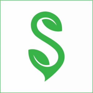 Picture of socialivymedia.com