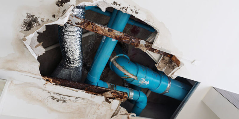 Plumbing Problems That Can Cause Mold