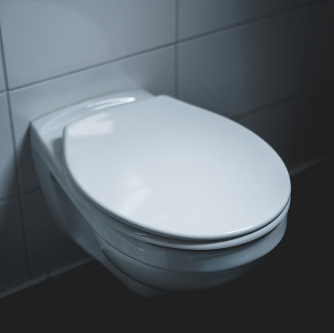 eljer toilet tank lid replacement